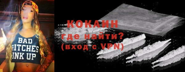 шишки Шали