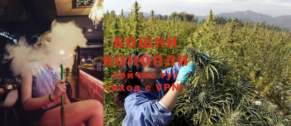 шишки Шали